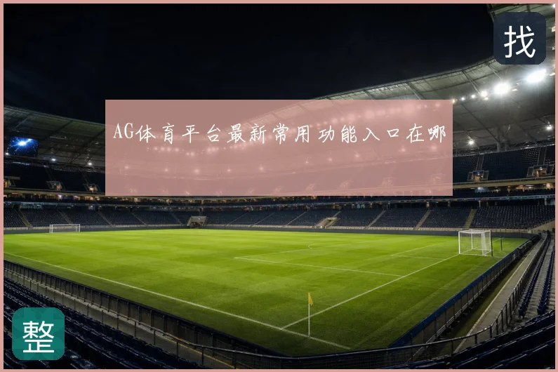 AG体育平台最新常用功能入口在哪
